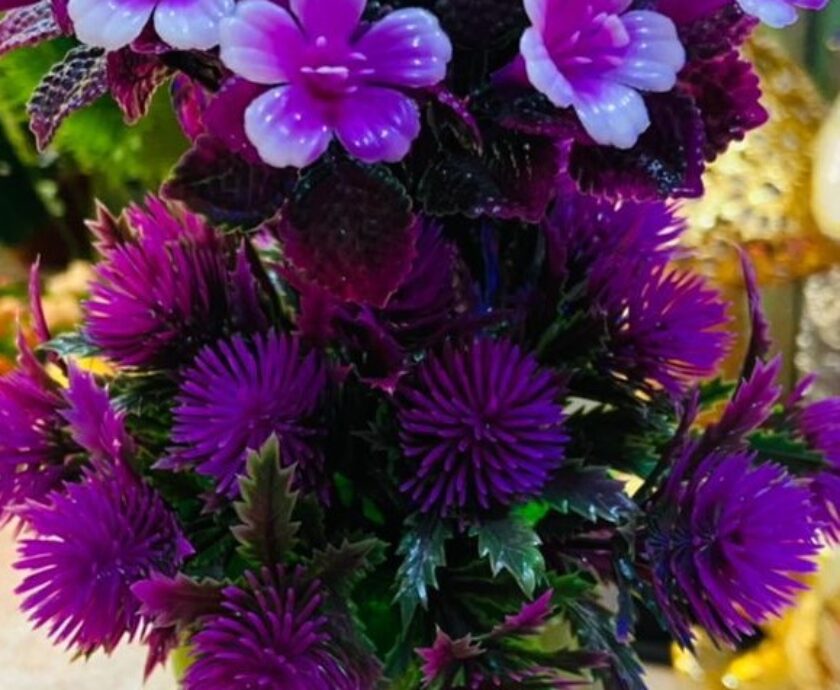 pulpe flower (2)